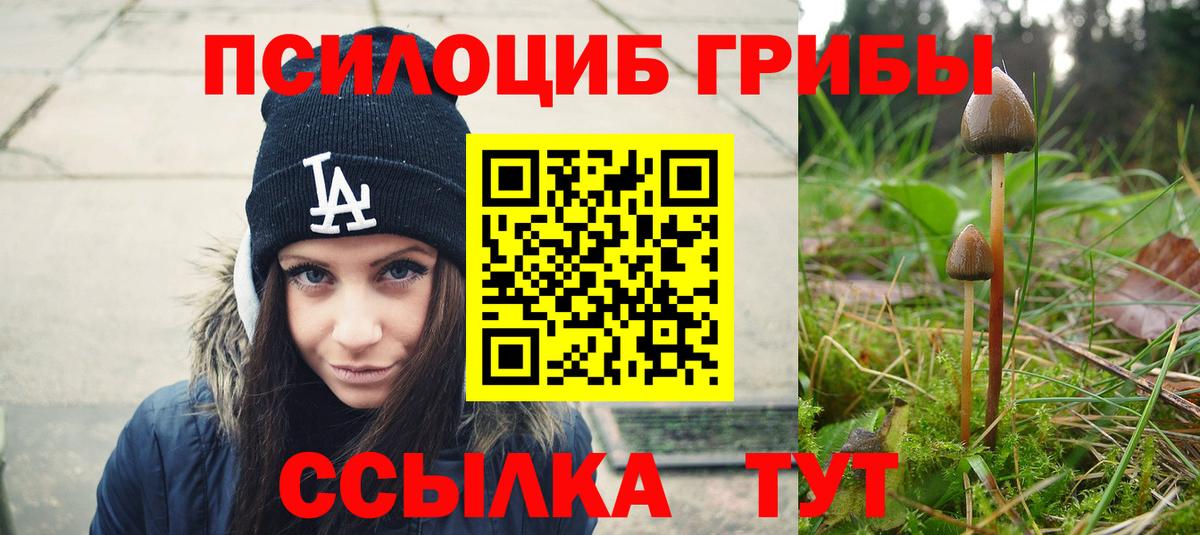 Галлюциногенные грибы GOLDEN TEACHER Обь