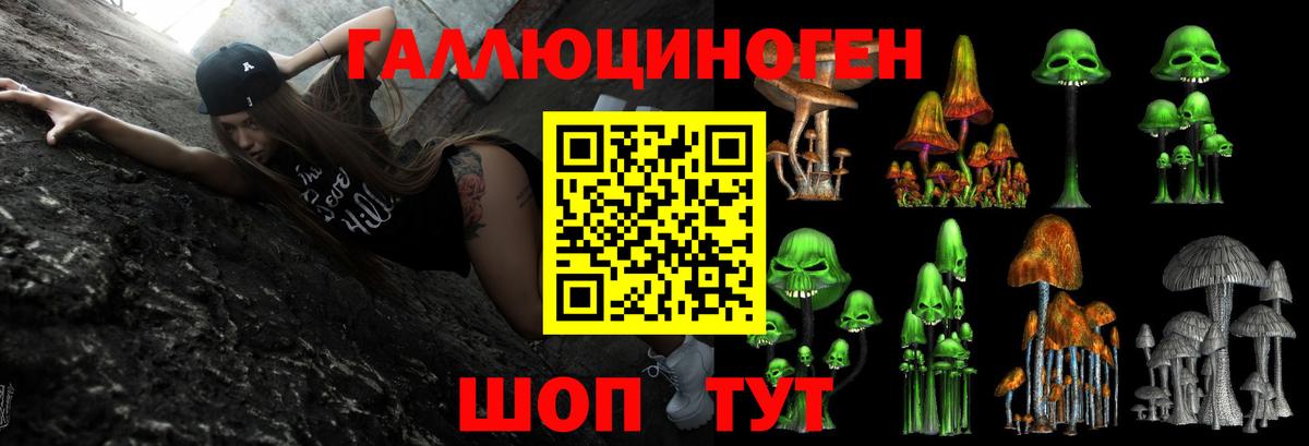 Обь  Псилоцибиновые грибы Psilocybe  Вход с VPN 