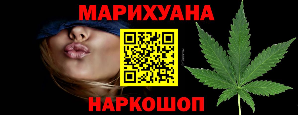Канабис сатива Обь